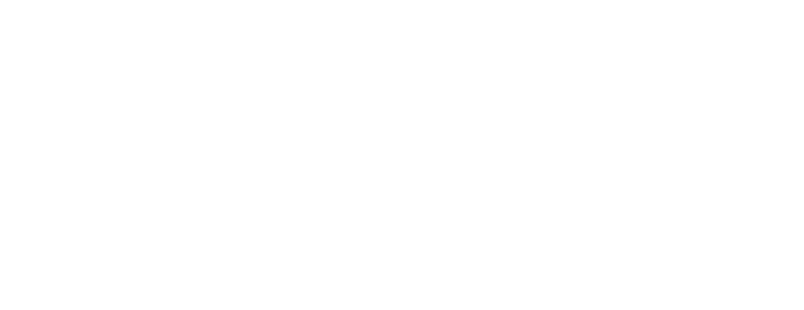 The Ark